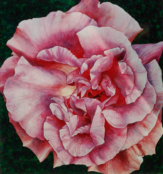 Roos Zepherine Drouhin