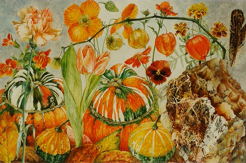 Oranje bloemen en kalebassen