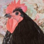 Australorp met Make Up (zwarte haan)