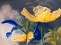 Oranje blauw