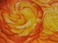 Roos Tequila Sunrise