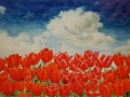 Rode tulpen en blauwe lucht