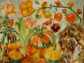 Oranje bloemen en kalebassen