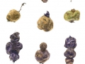 16/33 Solanum andigena