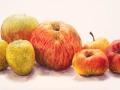 7 Appels