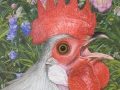 De schreeuw (hollands kriel)