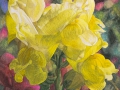 Leeuwenbekje (Antirrhinum majus