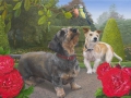 Twee honden in een rosarium
